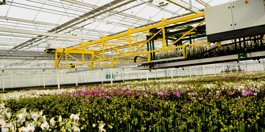 HOVE greenhouse automation